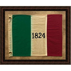 Wall Art Giant | 1824 Alamo Flag With Grommets | Framed Historic Texas Flag | Various Sizes