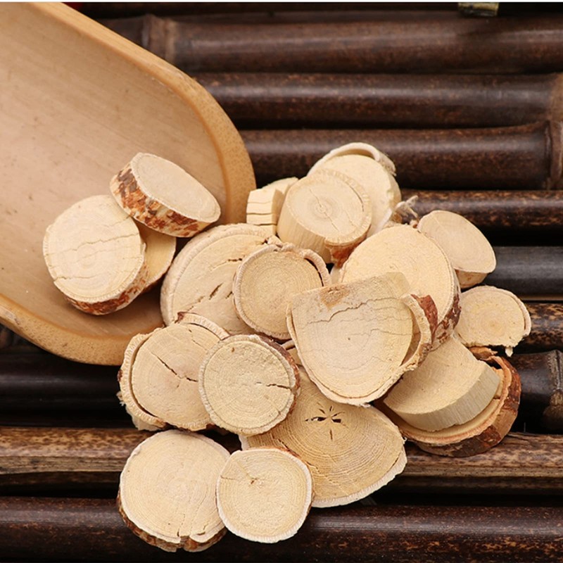 Greenlike President Ginseng Chinese Herb Wu Zhi Mao Tao Hispid