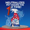 Resolve Pet Expert Carpet Spot & Stain Remover Spray, Pet