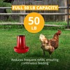 Stromberg's 50 lb Capacity Hanging Feed Saver Feeder, Large Capacity