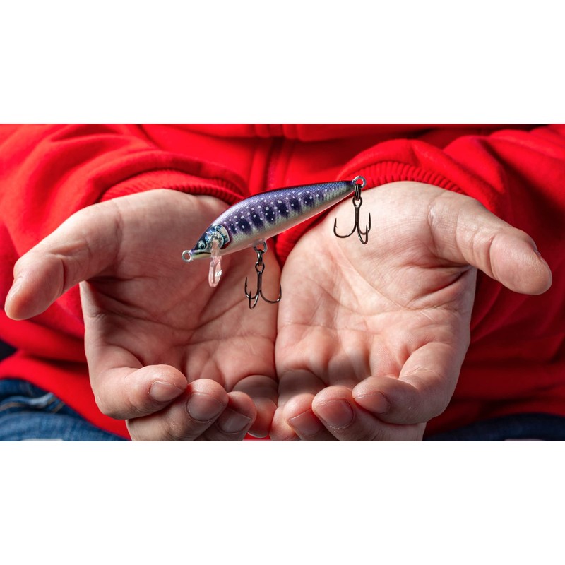 Countdown Elite 55 Gilded Iwana