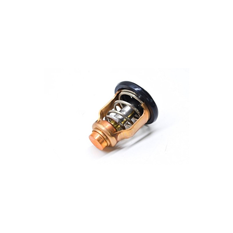 Yamaha 6CE-12411-00-00; THERMOSTAT; 6CE124110000