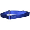 PetSafe Adjustable Martingale Collar - Only Tightens When Dogs Pull,