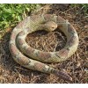 Rattlesnake - Coiled Diamondback Replica - Polyvinyl AAA