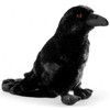Carl Dick Raven, Crow, Approx. 23 cm, Plush Toy, Stuffed