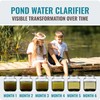 Pond Clear Water Treatment - 16 Pack for 8 Months