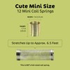 Srenta 1 Inch Mini Metal Coil Spring Silver and Gold