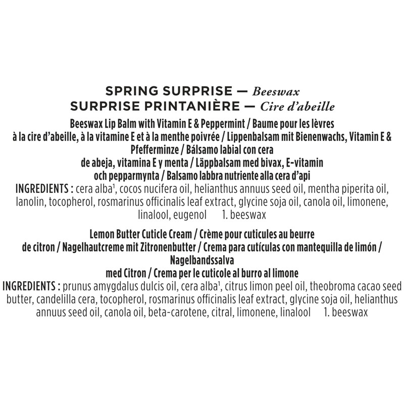Burt's Bees Gifts Ideas - Spring Surprise Set, Original Beeswax