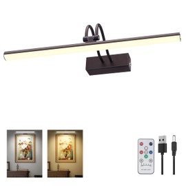 RAIFOOLLY Picture Light, 2 Colors Art Lights for Paintings,16" Battery Operated Wall Light,Remote Control Painting with Timer and Dimmable for Frame, Portrait, Dartboard (Black)