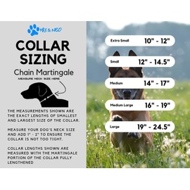 Max and Neo Stainless Steel Chain Martingale Collar - We Donate a Collar to a Dog Rescue for Every Collar Sold