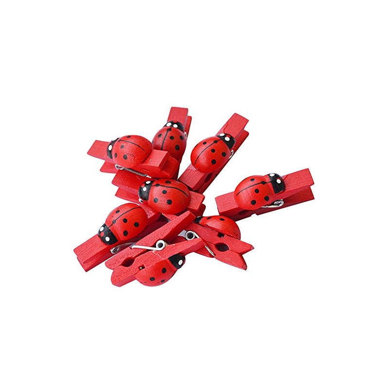 C.X.Y. 48 Wooden Clothes Pegs with Ladybird for Labelling Places,