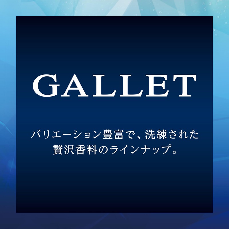 晴香堂(HARUKADO) カーオール 車用 芳香剤 ブラック ギャレット プラチナシャワー 20g 1848