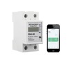 WiFi Smart Energy Monitor Switch Meter, Compatible with Alexa Google