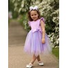 Miipat Toddler Girls Tulle Dress Flutter Sleeve Princess Party Dress
