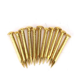Kodrily Gold Small Nails, 100PCS Hardware Nails Assortment Kit, Round Head Brass Nail, Tiny Finishing Nails Accessories for Household Wood Picture Hanging String Art (22mm Long Thickened)