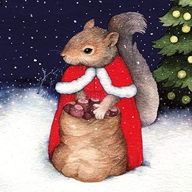Museums & Galleries Pack of 8 Artistic Charity Christmas Cards - Santa Squirrel - Lovely Animal Illustration by Valerie Greeley - 8 Cards of 1 Design, Multi