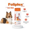 HOLLAND Shampoo Foliplex, Estimulante y Regenerador Anticaída.