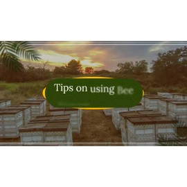 Pure Bee Venom Powder (200mg)