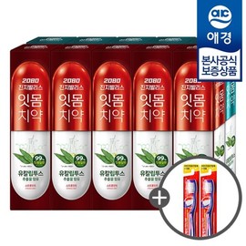Aekyung 2080 Gingivalis Eucalyptus Toothpaste 150g x 10 packs (+ 2 toothbrushes) / 애경 2080 진지발리스 유칼립투스 치약 150g x10개 (+칫솔 2입)