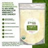 Dimmak Herbs Organic Astragalus Root Extract 10:1 Powder (Ultra Potent