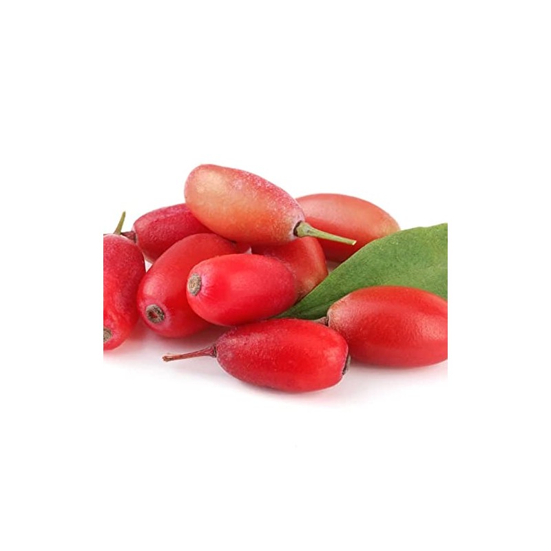 Goji Berry Botanical Extract Powder 150 Grams