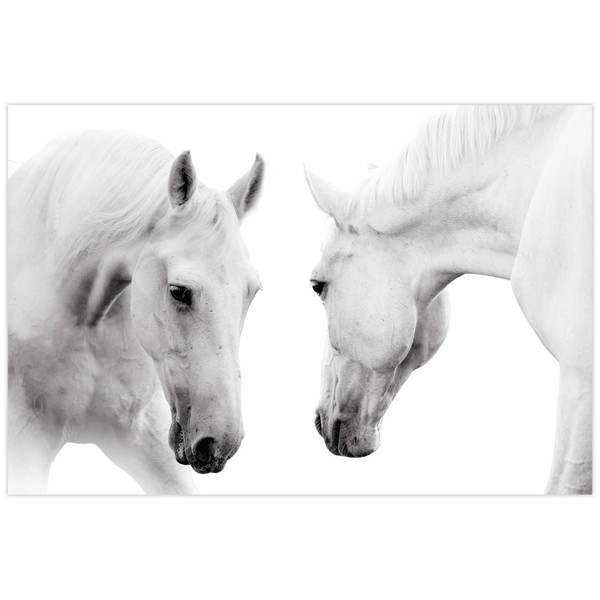 Empire Art Direct White Horse Wall Art Graphic Printed on Frameless Free Floating Tempered Glass Panel Ready to Hang, Living Room, Bedroom & Office, 32" x 48" x 0.2", Multicolor