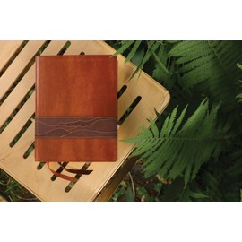 Rooted: The NIV Bible for Men, Leathersoft, Brown, Comfort Print