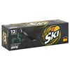 DIET Ski Lemon Orange Citrus Soda, 12 Ounce (12 Cans)