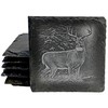 Deer Wildlife (4 images) Set #1 Coasters - Square Slate