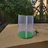 Cylindrical Butterfly and Insect Observation Cage Transparent Mesh Habitat Cage