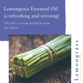 Absolute Aromas Organic Lemongrass Essential Oil 30ml - 100% Pure, Natural and Certified Organic