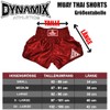 Dynamix Athletics Muay Thai Shorts Predatex Camo - Martial Arts