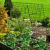 Metal Cucumber Trellis Foldable,Garden Trellis for Climbing Outdoor Plants,Tomato Plant