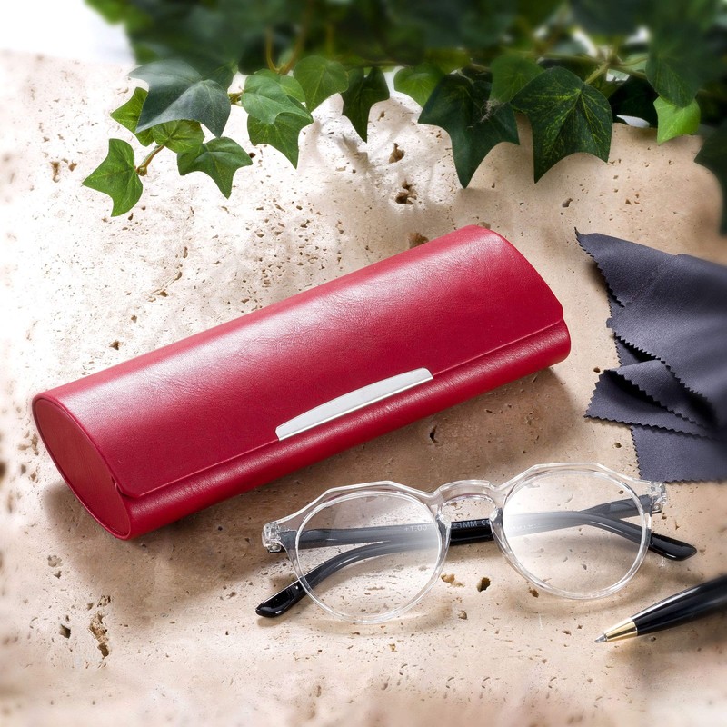 FEFI - Large Hard Case Glasses Case Colour with Chrome