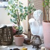 SGYUNQ Plant Pot Grid Soil Protector Covers Cuttable Flower Protector