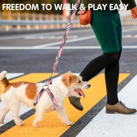 BINGPET Dog Harness Collar Leash Set,Adjustable No Pull Escape Proof Small Dog Harness,Classic Plaid Puppy Harness and Leash Set for Small Medium Large Dogs Training Easy Walk Running(Pink,M)