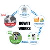 Pet Dwelling Symbols NFC & QR Code Smart Dog ID