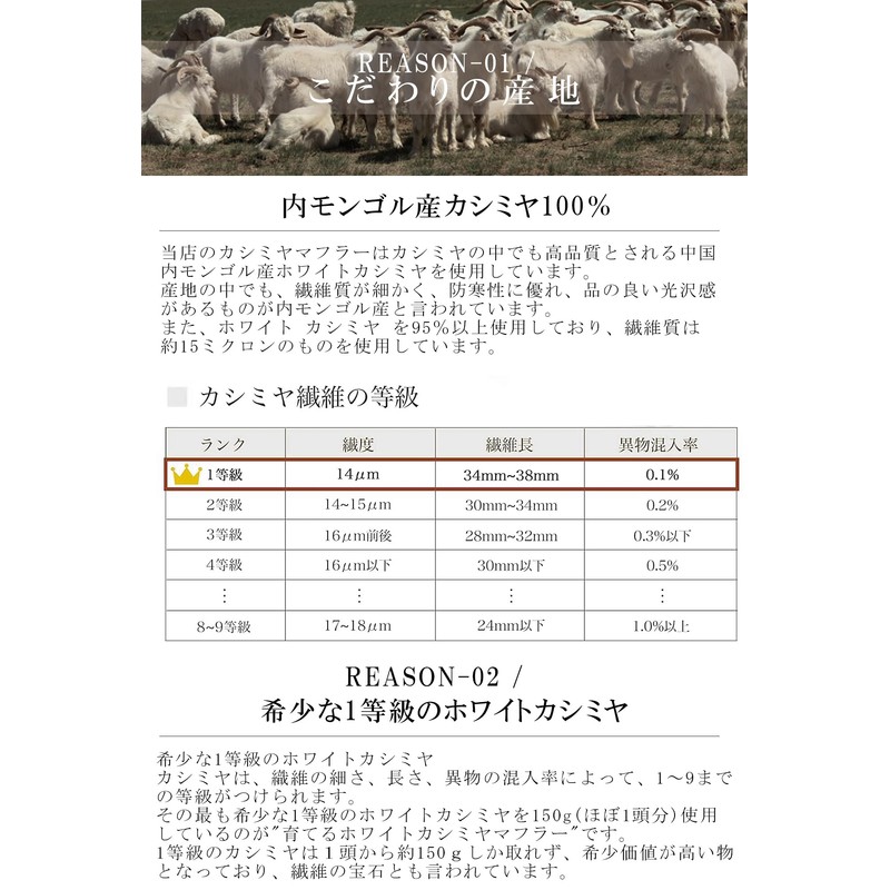 Bliss Leather Long Scarf, Plain, Checked, Thick, 100% Cashmere Made