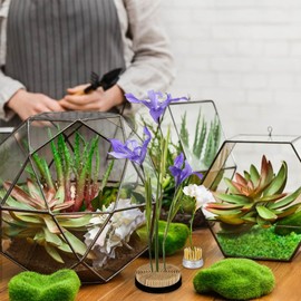 Pack of 4 Flower Hedgehogs, Round Kenzan, Ikebana with Cleaning Brush, Reusable Flower Frog, Hedgehog, Suitable for Living Room, Garden, Office, Flower Shop