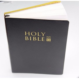 Holy Bible Old & New Testament KJV Black Leatherette 5 x 7