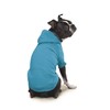 Zack & Zoey Basic Hoodie for Dogs