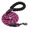PETESCORT 6FT/10FT Strong Dog Leashes with Comfortable Padded Handle and