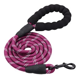 PETESCORT 6FT/10FT Strong Dog Leashes with Comfortable Padded Handle and Highly Reflective Threads for Small Medium and Large Dogs(6 Feet x1/2'' (Pack of 1), Purple)