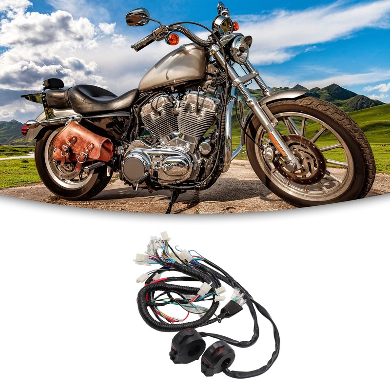 ACROPIX Motorcycle Electric Main Wire Harness with Left & Right