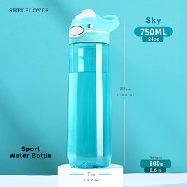 SHELFLOVER Sky Water Bottle No Straw, BPA FREE TRITAN, Lock Button Has Handle Clear Bottles, Wide Mouth Easy Clean for Women Office Travel Yoga, 24oz (750ml)