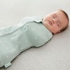 ergoPouch 1.0 TOG Cocoon Swaddle, Newborn Size – Sage Print