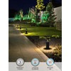 LEONLITE LED Low Voltage Pathway Lights, Unique Light Pattern, Landscape