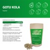 Gotu Kola Extract Capsules - High Dose - 600 mg