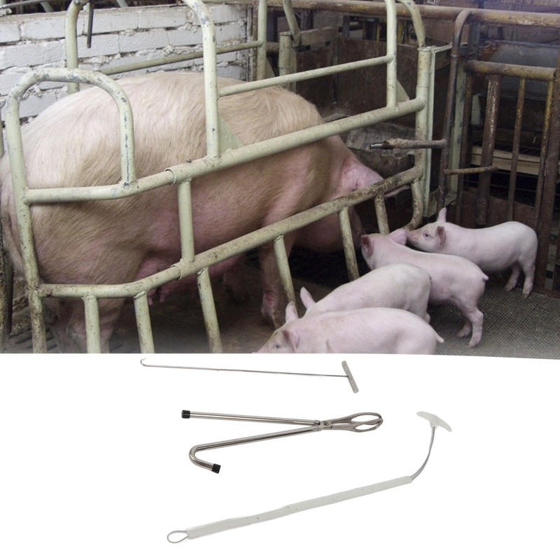 Pig Midwifery Set Tools Stainless Steel Livestock Pig Midwifery Rope