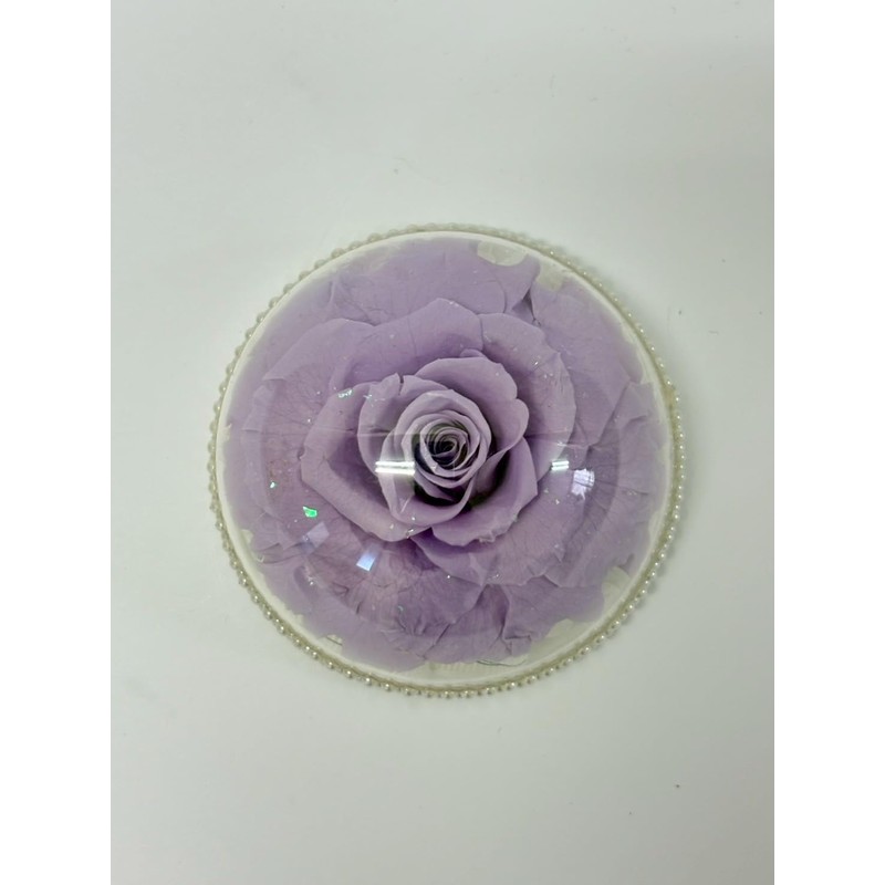 "Preserved Flowers, Buddha Flowers, Purple Rose, Acrylic Dome, Supplement Flowers,